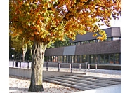 Nieuws 8 20081130 135902